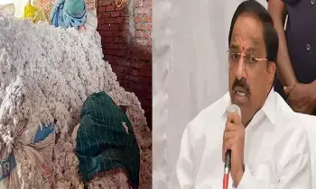 Minister Tummala Nageswara Rao:  తెలంగాణలో పత్తి కొనుగోళ్ల సంక్షోభం ముగిసింది: మంత్రి తుమ్మల నాగేశ్వరరావు చర్చలు ఫలవంతం