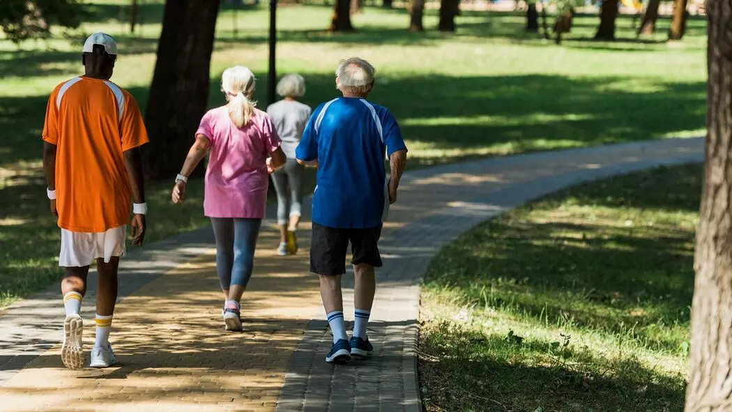 Prevent Alzheimer’s: నడకతో అల్జీమర్స్ నివారించవచ్చా.? Prevent Alzheimer’s: నడకతో అల్జీమర్స్ నివారించవచ్చా.?