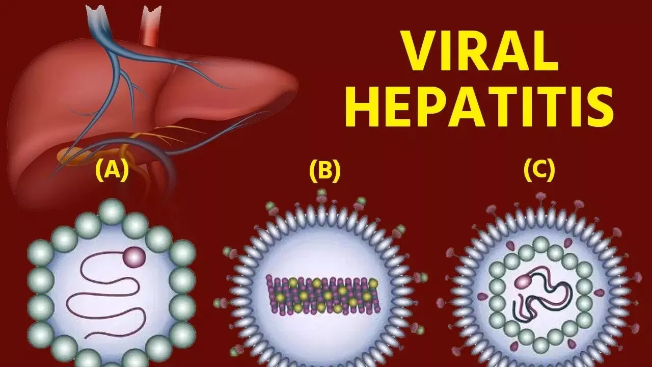 Hepatitis B Alert: హెపటైటిస్ బి హెచ్చరిక: వీటిని నిర్లక్ష్యం చేస్తే కాలేయం దెబ్బతినడం ఖాయం.. Hepatitis B Alert: హెపటైటిస్ బి హెచ్చరిక: వీటిని నిర్లక్ష్యం చేస్తే కాలేయం దెబ్బతినడం ఖాయం..