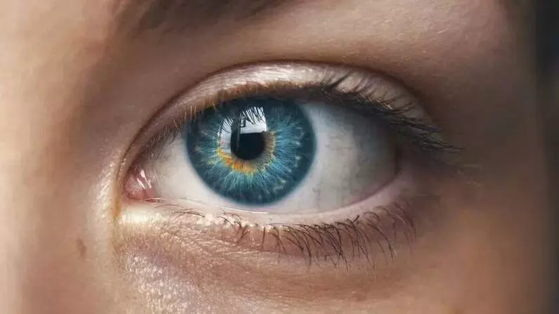 City Life Threatens Eye Health: నగర జీవితం కంటికి శాపం: వాయు కాలుష్యం, స్క్రీన్ల వాడకంతో కంటి సమస్యలు City Life Threatens Eye Health: నగర జీవితం కంటికి శాపం: వాయు కాలుష్యం, స్క్రీన్ల వాడకంతో కంటి సమస్యలు