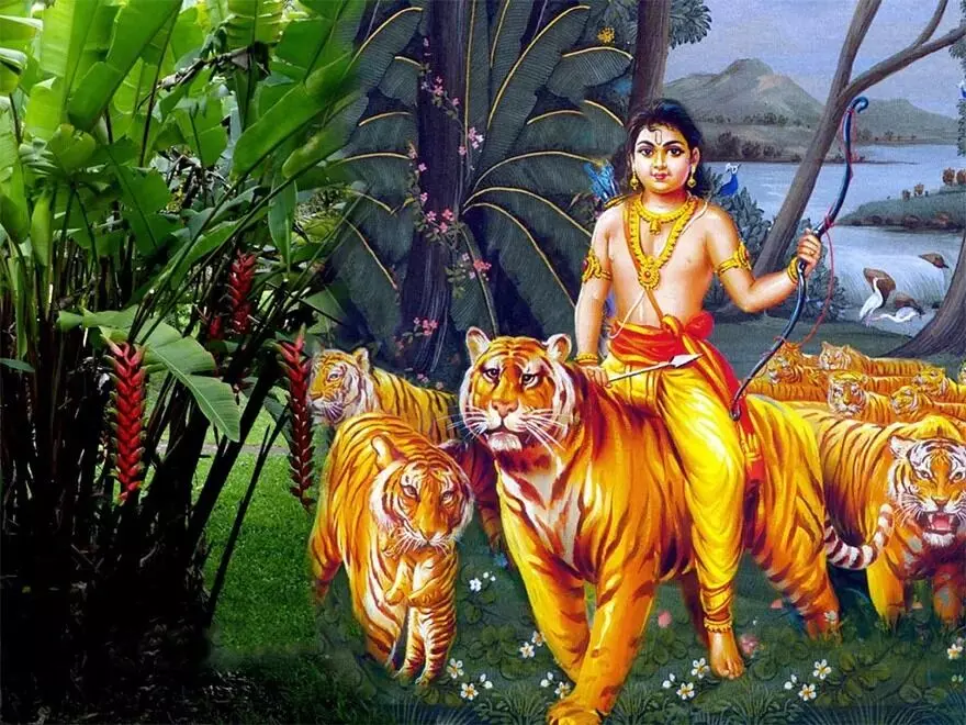 Ayyappa Pulipala Yatra: అయ్యప్ప పులిపాల యాత్ర కథ ఏంటి? Ayyappa Pulipala Yatra: అయ్యప్ప పులిపాల యాత్ర కథ ఏంటి?