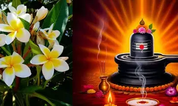 Ketaki Flower:  కేతకీ పుష్పం అంటే ఏంటి.. శివుడి పూజలో ఎందుకు వాడొద్దు.?