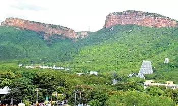 TTD’s Divya Vriksha Project: దేశ చరిత్రలోనే తొలిసారి.. 100 ఎకరాల్లో టీటీడీ దివ్య వృక్షాల ప్రాజెక్టు TTD’s Divya Vriksha Project: దేశ చరిత్రలోనే తొలిసారి.. 100 ఎకరాల్లో టీటీడీ దివ్య వృక్షాల ప్రాజెక్టు
