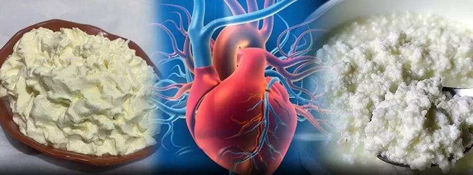 Avoid Butter and Cheese for Heart Health: గుండె ఆరోగ్యం కోసం వెన్న, జున్ను మానేయడం అవసరమా? కొత్త అధ్యయనాలు ఏమంటున్నాయి? Avoid Butter and Cheese for Heart Health: గుండె ఆరోగ్యం కోసం వెన్న, జున్ను మానేయడం అవసరమా? కొత్త అధ్యయనాలు ఏమంటున్నాయి?