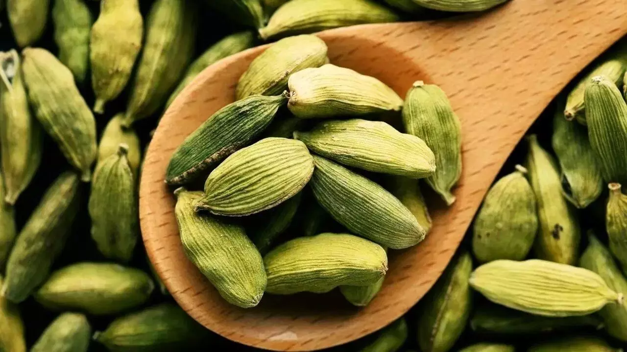 Eat These Before Bed: పడుకునే ముందు ఇవి తింటే చాలు.. ఆ సమస్యలన్నీ మాయం.. Eat These Before Bed: పడుకునే ముందు ఇవి తింటే చాలు.. ఆ సమస్యలన్నీ మాయం..