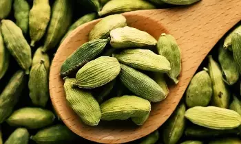 Eat These Before Bed: పడుకునే ముందు ఇవి తింటే చాలు.. ఆ సమస్యలన్నీ మాయం.. Eat These Before Bed: పడుకునే ముందు ఇవి తింటే చాలు.. ఆ సమస్యలన్నీ మాయం..