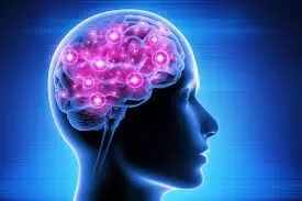 Struggling with Memory Loss: మతిమరుపుతో ఇబ్బంది పడుతున్నారా? మెదడును కంప్యూటర్ కంటే వేగంగా మార్చే అద్భుతమైన ఆహారాలివే! Struggling with Memory Loss: మతిమరుపుతో ఇబ్బంది పడుతున్నారా? మెదడును కంప్యూటర్ కంటే వేగంగా మార్చే అద్భుతమైన ఆహారాలివే!