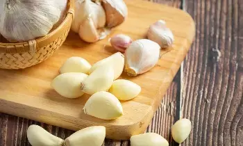 Eating Garlic on an Empty Stomach in the Morning: ఉదయాన్నే ఖాళీ కడుపుతో వెల్లుల్లి.. ఈ లాభాలు తెలిస్తే అస్సలు వదలరు Eating Garlic on an Empty Stomach in the Morning: ఉదయాన్నే ఖాళీ కడుపుతో వెల్లుల్లి.. ఈ లాభాలు తెలిస్తే అస్సలు వదలరు