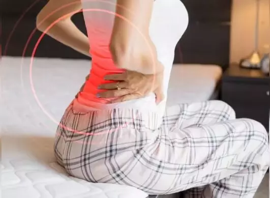 Risk of Osteoporosis Higher in Women: ఆస్టియోపోరోసిస్ ముప్పు మహిళలకే ఎక్కువ ఎందుకు.? Risk of Osteoporosis Higher in Women: ఆస్టియోపోరోసిస్ ముప్పు మహిళలకే ఎక్కువ ఎందుకు.?