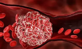 Bilirubin Levels Increase in the Blood: రక్తంలో బిలిరూబిన్ పెరిగితే ఏమవుతుంది? Bilirubin Levels Increase in the Blood: రక్తంలో బిలిరూబిన్ పెరిగితే ఏమవుతుంది?