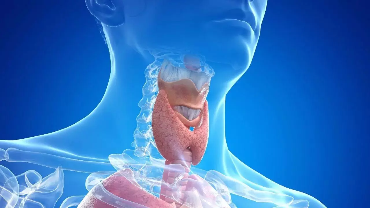 Thyroid Patients Alert: థైరాయిడ్ రోగులు జాగ్రత్త: చలికాలంలో వీటి జోలికి అస్సలు పోవద్దు.. Thyroid Patients Alert: థైరాయిడ్ రోగులు జాగ్రత్త: చలికాలంలో వీటి జోలికి అస్సలు పోవద్దు..