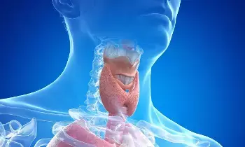 Thyroid Patients Alert: థైరాయిడ్ రోగులు జాగ్రత్త: చలికాలంలో వీటి జోలికి అస్సలు పోవద్దు.. Thyroid Patients Alert: థైరాయిడ్ రోగులు జాగ్రత్త: చలికాలంలో వీటి జోలికి అస్సలు పోవద్దు..