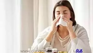 Cold and Cough Relief: వంటింటి చిట్కాలతో జలుబు, దగ్గుకు చెక్ Cold and Cough Relief: వంటింటి చిట్కాలతో జలుబు, దగ్గుకు చెక్
