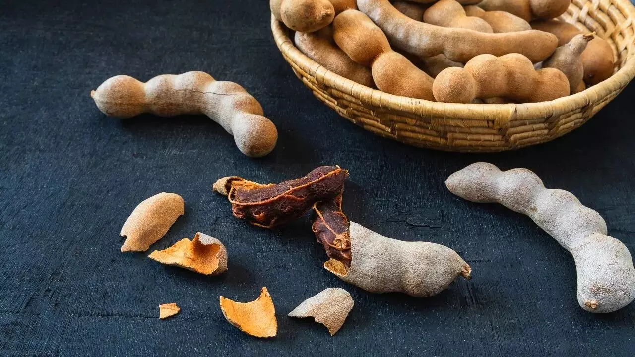 From Skin Glow to Heart Health: చర్మ సౌందర్యం నుంచి గుండె ఆరోగ్యం వరకు.. చింతపండుతో ఆరోగ్యానికి బోలెడన్ని లాభాలు From Skin Glow to Heart Health: చర్మ సౌందర్యం నుంచి గుండె ఆరోగ్యం వరకు.. చింతపండుతో ఆరోగ్యానికి బోలెడన్ని లాభాలు