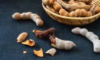 From Skin Glow to Heart Health: చర్మ సౌందర్యం నుంచి గుండె ఆరోగ్యం వరకు.. చింతపండుతో ఆరోగ్యానికి బోలెడన్ని లాభాలు From Skin Glow to Heart Health: చర్మ సౌందర్యం నుంచి గుండె ఆరోగ్యం వరకు.. చింతపండుతో ఆరోగ్యానికి బోలెడన్ని లాభాలు