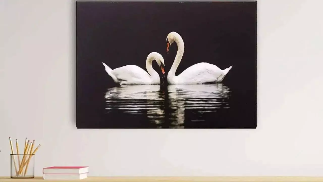 Swan Picture at Home: ఇంట్లో హంసల చిత్రం ఏ దిక్కు పెడితే మంచి జరుగుతుందో తెలుసా..? Swan Picture at Home: ఇంట్లో హంసల చిత్రం ఏ దిక్కు పెడితే మంచి జరుగుతుందో తెలుసా..?