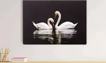 Swan Picture at Home: ఇంట్లో హంసల చిత్రం ఏ దిక్కు పెడితే మంచి జరుగుతుందో తెలుసా..? Swan Picture at Home: ఇంట్లో హంసల చిత్రం ఏ దిక్కు పెడితే మంచి జరుగుతుందో తెలుసా..?
