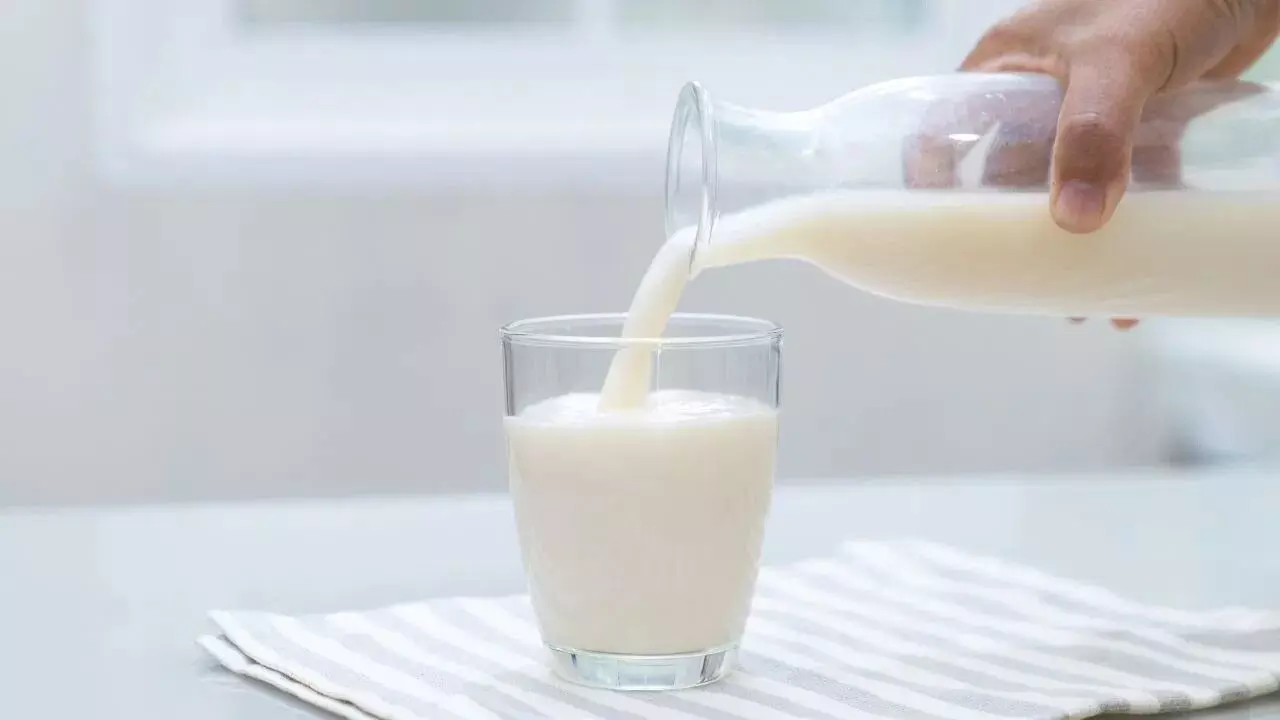 Drinking Milk at Night: రాత్రిపూట పాలు తాగుతున్నారా..? అయితే జాగ్రత్త.. ఈ సమస్యలు ఉన్నవారు తాగితే ముప్పే! Drinking Milk at Night: రాత్రిపూట పాలు తాగుతున్నారా..? అయితే జాగ్రత్త.. ఈ సమస్యలు ఉన్నవారు తాగితే ముప్పే!