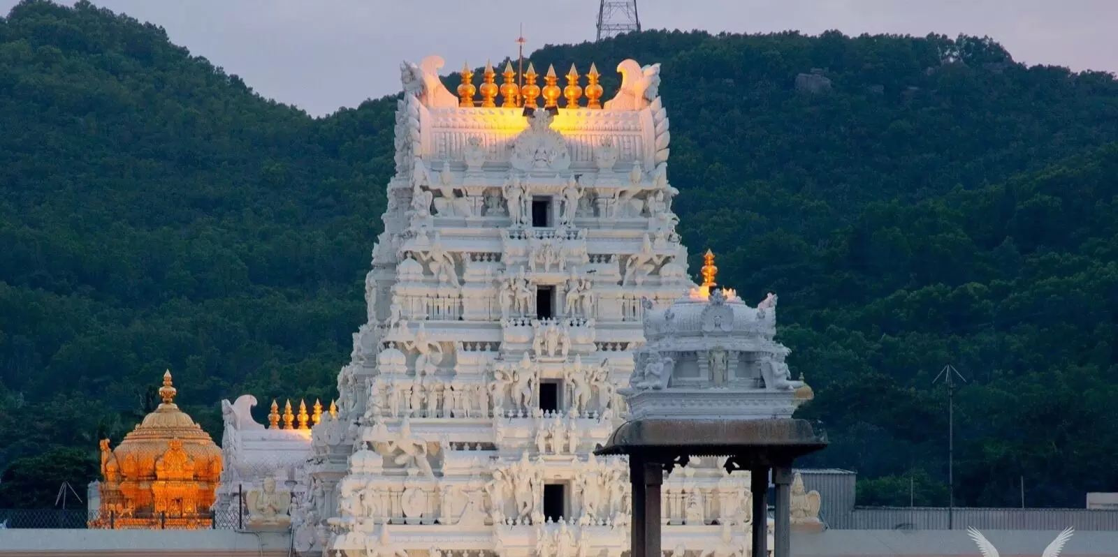 Srivani Darshan Tickets: రేపటి నుంచి ఆన్ లైన్ లో శ్రీవాణి దర్శన టికెట్లు జారీ Srivani Darshan Tickets: రేపటి నుంచి ఆన్ లైన్ లో శ్రీవాణి దర్శన టికెట్లు జారీ