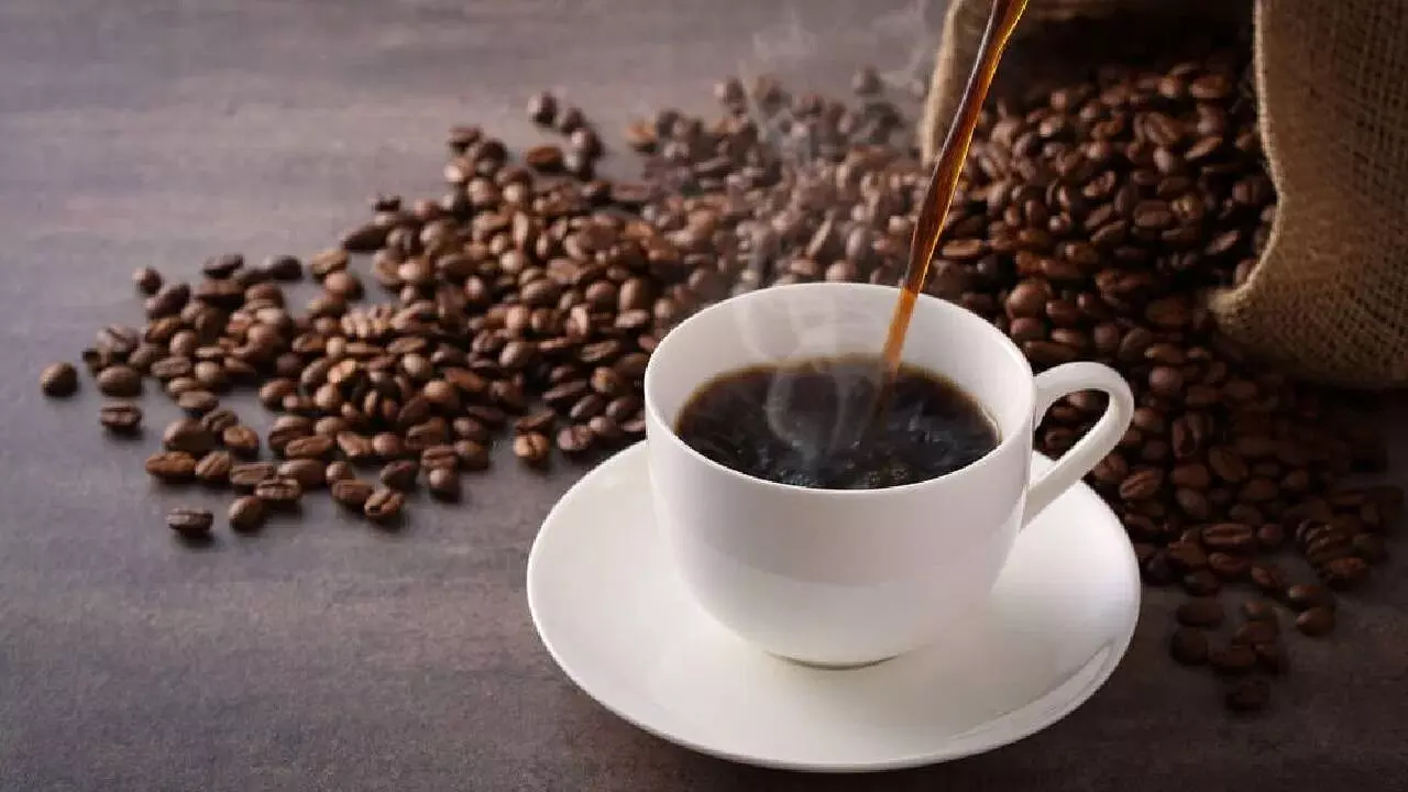 Indian Coffee Exports : కర్ణాటక కాఫీకి ప్రపంచమే ఫిదా..ఇటలీ, జర్మనీలు మన రుచికి బానిసవ్వాల్సిందే Indian Coffee Exports : కర్ణాటక కాఫీకి ప్రపంచమే ఫిదా..ఇటలీ, జర్మనీలు మన రుచికి బానిసవ్వాల్సిందే