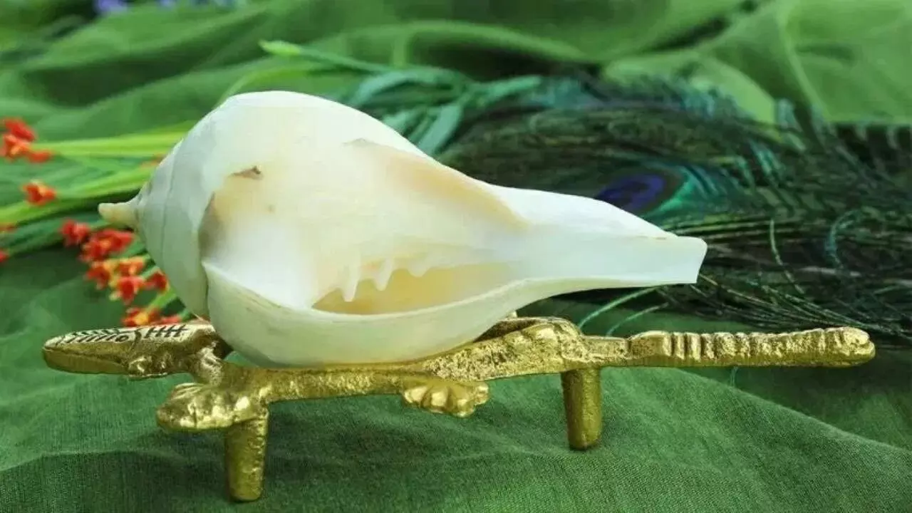 Just Having a Conch in the Pooja Room Is Enough: పూజ గదిలో శంఖం ఉంటే చాలు.. సకల శుభాలు మీ సొంతం.. శంఖ ధ్వని వెనుక ఉన్న రహస్యాలివే.. Just Having a Conch in the Pooja Room Is Enough: పూజ గదిలో శంఖం ఉంటే చాలు.. సకల శుభాలు మీ సొంతం.. శంఖ ధ్వని వెనుక ఉన్న రహస్యాలివే..