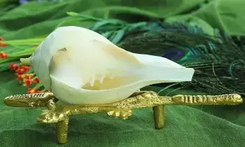 Just Having a Conch in the Pooja Room Is Enough: పూజ గదిలో శంఖం ఉంటే చాలు.. సకల శుభాలు మీ సొంతం.. శంఖ ధ్వని వెనుక ఉన్న రహస్యాలివే.. Just Having a Conch in the Pooja Room Is Enough: పూజ గదిలో శంఖం ఉంటే చాలు.. సకల శుభాలు మీ సొంతం.. శంఖ ధ్వని వెనుక ఉన్న రహస్యాలివే..
