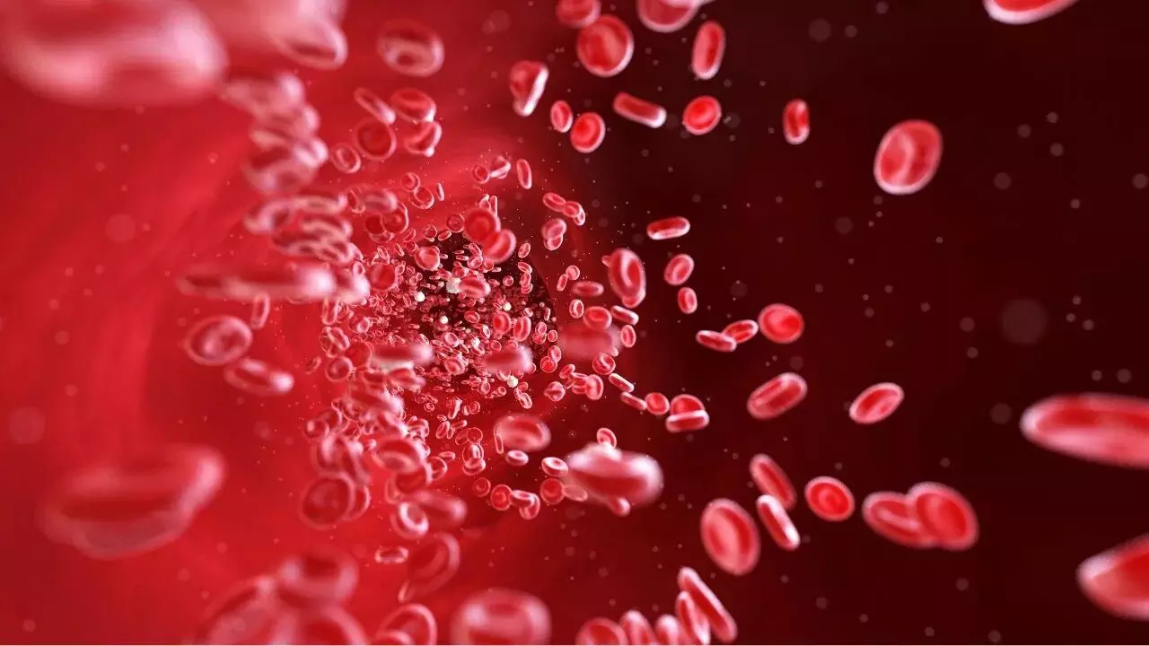 To Boost Platelets at Home: ఇంట్లోనే ప్లేట్లెట్స్ పెంచుకోవాలంటే ఈ ఆహారాలు తప్పనిసరి.. To Boost Platelets at Home: ఇంట్లోనే ప్లేట్లెట్స్ పెంచుకోవాలంటే ఈ ఆహారాలు తప్పనిసరి..