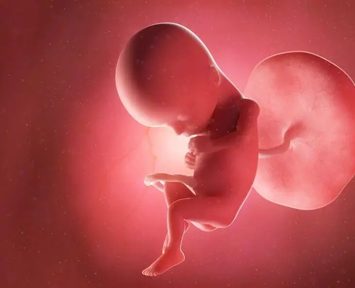 Miscarriages Occur Repeatedly: వరుసగా గర్భస్రావాలు అవుతుంటే ఏం చేయాలి? Miscarriages Occur Repeatedly: వరుసగా గర్భస్రావాలు అవుతుంటే ఏం చేయాలి?