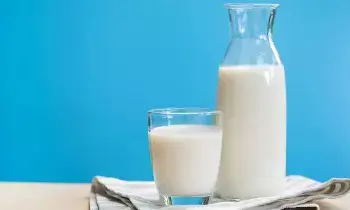 Drinking Milk: వీరు పాలు తాగితే ఈ సమస్యలు తప్పవు.. నిపుణులు ఏమంటున్నారంటే..? Drinking Milk: వీరు పాలు తాగితే ఈ సమస్యలు తప్పవు.. నిపుణులు ఏమంటున్నారంటే..?