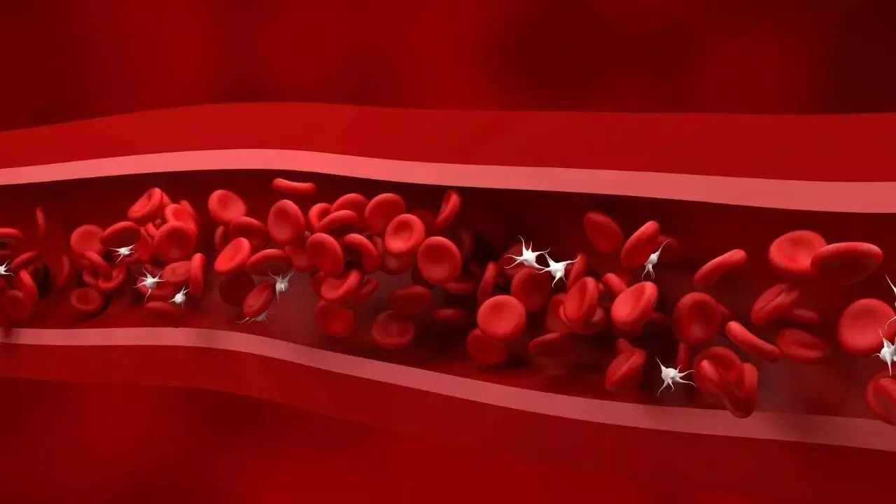 Platelet Count Drops During Winter: చలికాలంలో తగ్గుతున్న ప్లేట్లెట్ కౌంట్.. కారణాలేంటి? ఈ లక్షణాలను అస్సలు నిర్లక్ష్యం చేయకండి Platelet Count Drops During Winter: చలికాలంలో తగ్గుతున్న ప్లేట్లెట్ కౌంట్.. కారణాలేంటి? ఈ లక్షణాలను అస్సలు నిర్లక్ష్యం చేయకండి