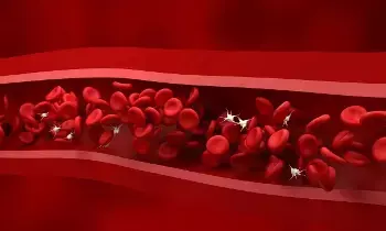 Platelet Count Drops During Winter: చలికాలంలో తగ్గుతున్న ప్లేట్లెట్ కౌంట్.. కారణాలేంటి? ఈ లక్షణాలను అస్సలు నిర్లక్ష్యం చేయకండి Platelet Count Drops During Winter: చలికాలంలో తగ్గుతున్న ప్లేట్లెట్ కౌంట్.. కారణాలేంటి? ఈ లక్షణాలను అస్సలు నిర్లక్ష్యం చేయకండి