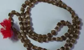 Wearing a Tulasi Mala: తులసి మాల ధరిస్తున్నారా? ఈ నియమాలు తెలియకపోతే పుణ్యం కంటే పాపమే ఎక్కువ.. Wearing a Tulasi Mala: తులసి మాల ధరిస్తున్నారా? ఈ నియమాలు తెలియకపోతే పుణ్యం కంటే పాపమే ఎక్కువ..