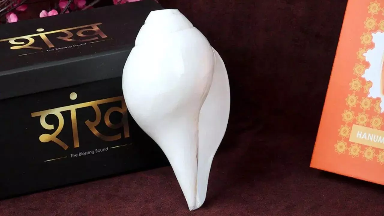 Keeping an Empty Conch in the Pooja Room: పూజ గదిలో శంఖం ఖాళీగా ఉంచుతున్నారా? అయితే ఈ కష్టాలు తప్పవు! Keeping an Empty Conch in the Pooja Room: పూజ గదిలో శంఖం ఖాళీగా ఉంచుతున్నారా? అయితే ఈ కష్టాలు తప్పవు!