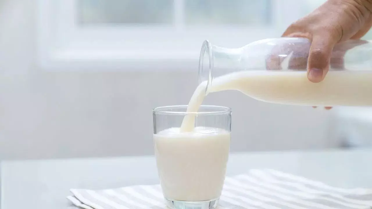 Drinking Only Milk Reduce Calcium Deficiency: కేవలం పాలు తాగితే కాల్షియం లోపం తగ్గుతుందా? నిపుణులు ఏమంటున్నారు..? Drinking Only Milk Reduce Calcium Deficiency: కేవలం పాలు తాగితే కాల్షియం లోపం తగ్గుతుందా? నిపుణులు ఏమంటున్నారు..?