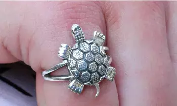 Wearing a Ruby Ring: తాబేలు ఉంగరం ధరిస్తున్నారా? ఈ రాశుల వారు ధరిస్తే కష్టాలు తప్పవు.. Wearing a Ruby Ring: తాబేలు ఉంగరం ధరిస్తున్నారా? ఈ రాశుల వారు ధరిస్తే కష్టాలు తప్పవు..