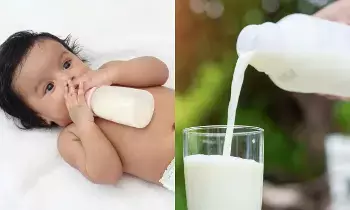 Children Start Drinking Cow’s Milk: చిన్నారులకు ఆవు పాలు ఎప్పటి నుండి ఇవ్వాలి? తల్లిదండ్రులు చేయకూడని పొరపాట్లు ఇవే.. Children Start Drinking Cow’s Milk: చిన్నారులకు ఆవు పాలు ఎప్పటి నుండి ఇవ్వాలి? తల్లిదండ్రులు చేయకూడని పొరపాట్లు ఇవే..