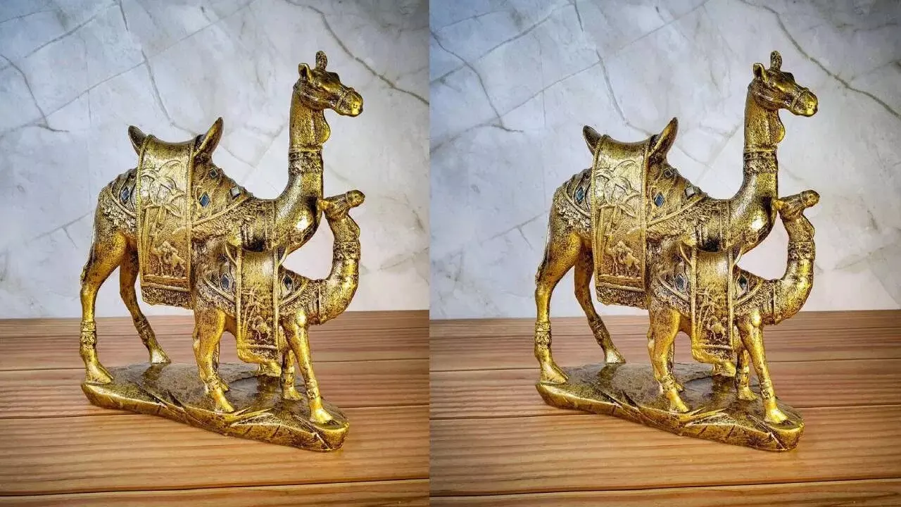 Keeping a Camel Idol at Home: ఇంట్లో ఒంటె విగ్రహం ఉంచుతున్నారా? ఈ దిశలో పెడితే ఐశ్వర్యం మీ సొంతం.. Keeping a Camel Idol at Home: ఇంట్లో ఒంటె విగ్రహం ఉంచుతున్నారా? ఈ దిశలో పెడితే ఐశ్వర్యం మీ సొంతం..