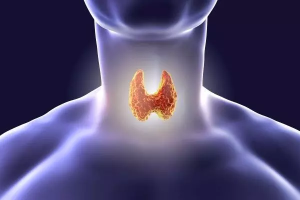 Thyroid Problems Prevent Childbirth: థైరాయిడ్ సమస్యలుంటే పిల్లలు పుట్టరా? Thyroid Problems Prevent Childbirth: థైరాయిడ్ సమస్యలుంటే పిల్లలు పుట్టరా?