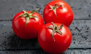 Tomato Helps Prevent Diseases: టమాటాతో గుండె జబ్బుల నుంచి క్యాన్సర్ వరకు అన్నీ మాయం! Tomato Helps Prevent Diseases: టమాటాతో గుండె జబ్బుల నుంచి క్యాన్సర్ వరకు అన్నీ మాయం!