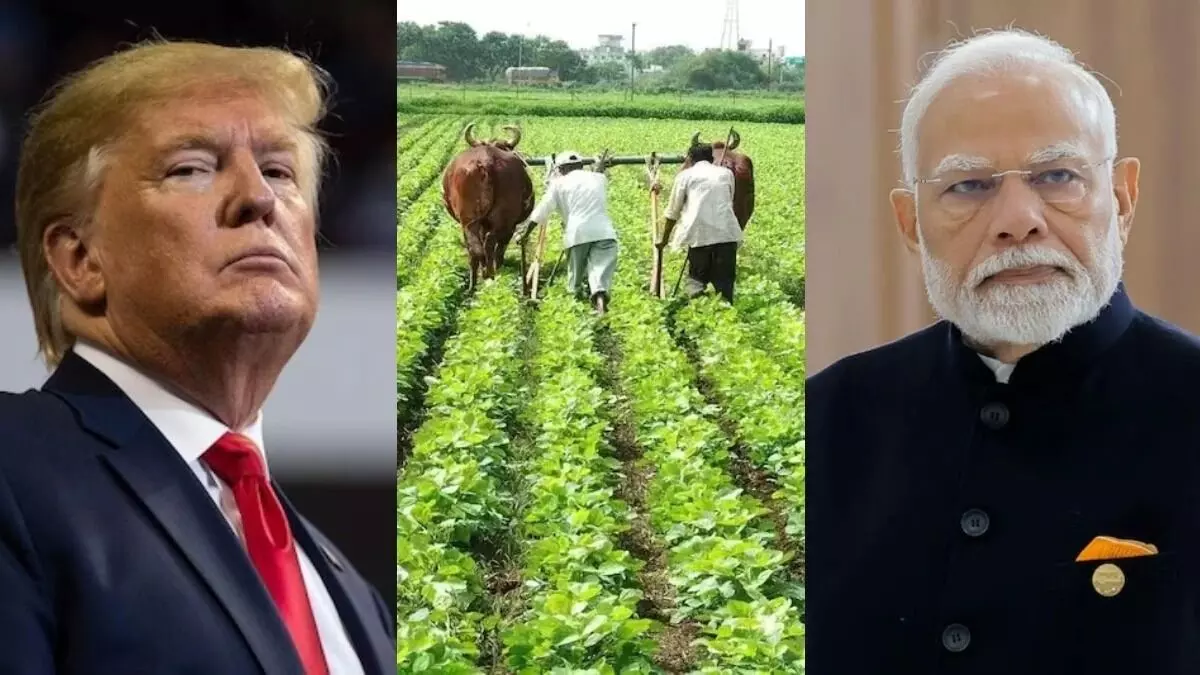 India-US Deal : అమెరికా వ్యాపార ఒప్పందం నుంచి వ్యవసాయ రంగాన్ని ఎందుకు తప్పించారు India-US Deal : అమెరికా వ్యాపార ఒప్పందం నుంచి వ్యవసాయ రంగాన్ని ఎందుకు తప్పించారు