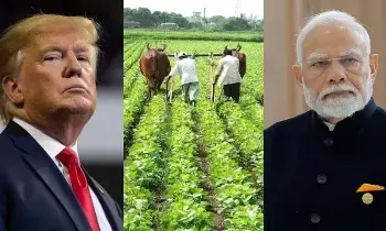 India-US Deal : అమెరికా వ్యాపార ఒప్పందం నుంచి వ్యవసాయ రంగాన్ని ఎందుకు తప్పించారు India-US Deal : అమెరికా వ్యాపార ఒప్పందం నుంచి వ్యవసాయ రంగాన్ని ఎందుకు తప్పించారు