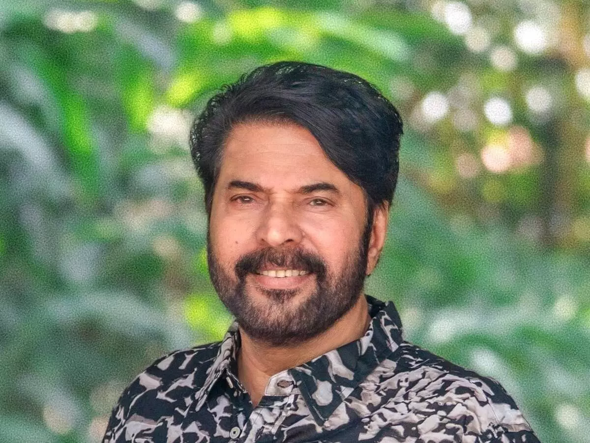 Megastar Mammootty: ధనుష్D55లో మెగాస్టార్ మమ్ముట్టి! Megastar Mammootty: ధనుష్D55లో మెగాస్టార్ మమ్ముట్టి!