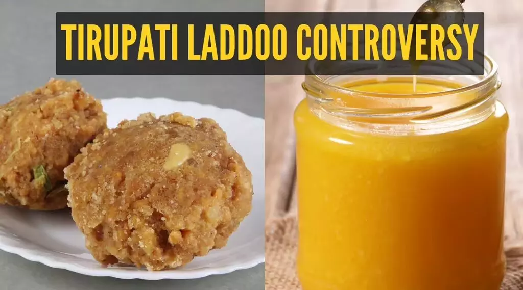TTD Adulterated Ghee Case: టీటీడీ కల్తీ నెయ్యి కేసు: తయారీలో ప్రమాదకర లబ్సా రసాయనం వాడకం TTD Adulterated Ghee Case: టీటీడీ కల్తీ నెయ్యి కేసు: తయారీలో ప్రమాదకర లబ్సా రసాయనం వాడకం