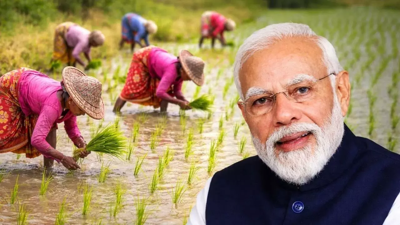 PM Kisan : ప్రధాని మోదీ బంపర్ గిఫ్ట్..ఆ రైతులకు డబుల్ ధమాకా, ఒకేసారి రూ.4,000 జమ PM Kisan : ప్రధాని మోదీ బంపర్ గిఫ్ట్..ఆ రైతులకు డబుల్ ధమాకా, ఒకేసారి రూ.4,000 జమ
