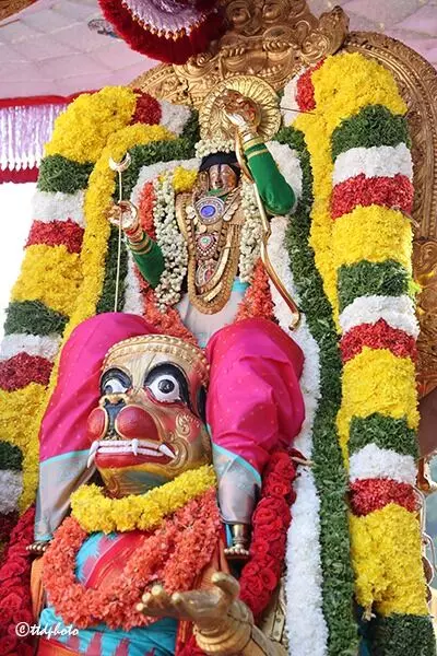 Sri Kalyana Venkateswara Swamy Brahmotsavam: హనుమంత వాహనంపై కోదండ రాముడు Sri Kalyana Venkateswara Swamy Brahmotsavam: హనుమంత వాహనంపై కోదండ రాముడు