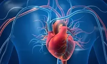 Increase Good Cholesterol Naturally: గుడ్ కొలెస్ట్రాల్ పెంచుకోవడానికి ఇలా చేయండి!