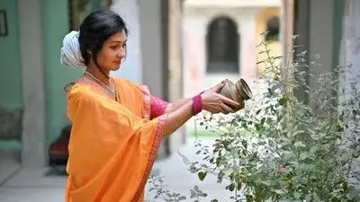 Tulsi Plant in Your Home Drying Up: మీ ఇంట్లోని తులసి మొక్క ఎండిపోతుందా? ఈ చిన్న వంటగది చిట్కాతో మళ్ళీ పచ్చగా మార్చండి.. Tulsi Plant in Your Home Drying Up: మీ ఇంట్లోని తులసి మొక్క ఎండిపోతుందా? ఈ చిన్న వంటగది చిట్కాతో మళ్ళీ పచ్చగా మార్చండి..