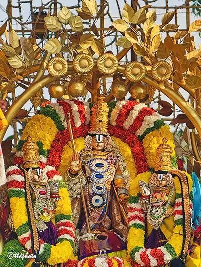 Jubilee Hills Sri Venkateswara Swamy annual Brahmotsavam: కల్పవృక్ష వాహనంపై శ్రీ వేంకటేశ్వర స్వామి వారి అనుగ్రహం Jubilee Hills Sri Venkateswara Swamy annual Brahmotsavam: కల్పవృక్ష వాహనంపై శ్రీ వేంకటేశ్వర స్వామి వారి అనుగ్రహం