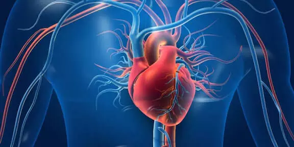 Keep Your Heart Healthy: గుండె పదిలంగా ఉండాలంటే.. డాక్టర్లు సూచించే బెస్ట్ వ్యాయామాలు ఇవే.. Keep Your Heart Healthy: గుండె పదిలంగా ఉండాలంటే.. డాక్టర్లు సూచించే బెస్ట్ వ్యాయామాలు ఇవే..