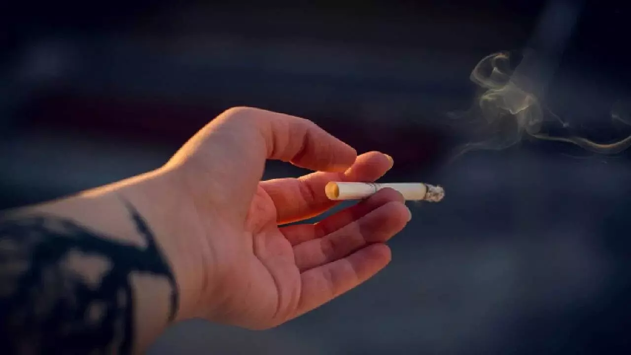 Smoking Really Reduce Stress: సిగరెట్ తాగితే ఒత్తిడి తగ్గుతుందా? ఇది నిజమా లేక భ్రమా? నిపుణులు ఏం చెబుతున్నారు.. Smoking Really Reduce Stress: సిగరెట్ తాగితే ఒత్తిడి తగ్గుతుందా? ఇది నిజమా లేక భ్రమా? నిపుణులు ఏం చెబుతున్నారు..